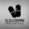 imageOptimum Nutrition LGlutamine Muscle Recovery Capsules 1000mg 240 Count Package May VaryCapsules