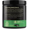 imageOptimum Nutrition Micronized Creatine Monohydrate Powder Unflavored 60 Servings 300 Grams Packaging May VaryBlue Raspberry  Unflavored
