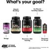 imageOptimum Nutrition New Flavor Amino Energy  Pre Workout with Green Tea BCAA Amino Acids Keto Friendly Green Coffee Extract Energy Powder  Citrus Spritz 30 Servings Packaging May VaryOrange
