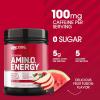 imageOptimum Nutrition New Flavor Amino Energy  Pre Workout with Green Tea BCAA Amino Acids Keto Friendly Green Coffee Extract Energy Powder  Citrus Spritz 30 Servings Packaging May VaryFruit Fusion