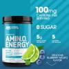 imageOptimum Nutrition New Flavor Amino Energy  Pre Workout with Green Tea BCAA Amino Acids Keto Friendly Green Coffee Extract Energy Powder  Citrus Spritz 30 Servings Packaging May VaryBlueberry Mojito