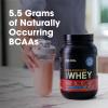 imageOptimum Nutrition New Flavor Gold Standard 100 Whey Protein Powder Cinnamon Roll 2 Pound Pack of 1 Packaging May VaryFruity Cereal