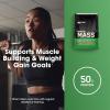 imageOptimum Nutrition Serious Mass Weight Gainer Protein Powder Mass Gainer Vitamin C and Zinc for Immune Support Creatine Chocolate Peanut Butter 12 Pound Packaging May VaryStrawberry