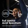 imageOptimum Nutrition Superior Amino 2222 Tablets Complete Essential Amino Acids EAAs 160 CountUnflavored
